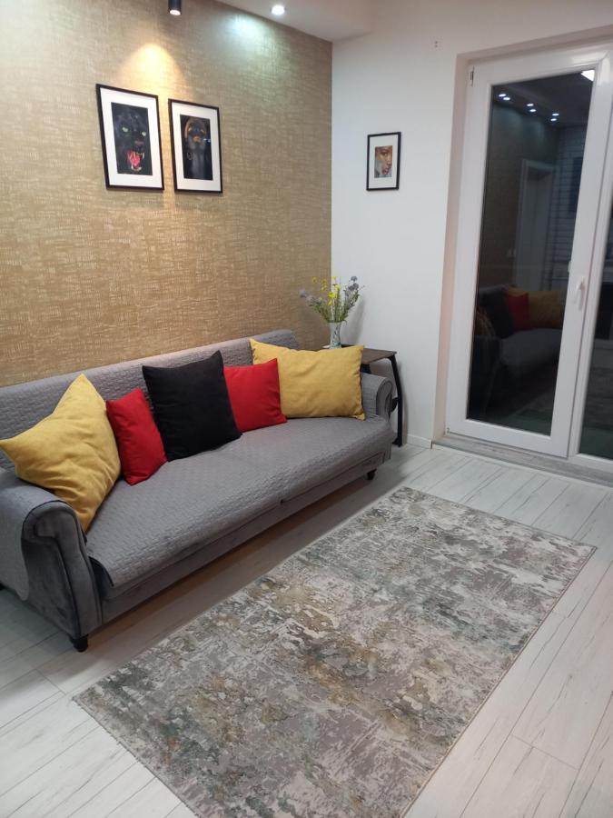 Voyage Cubic Adults Only Leilighet Sibiu Eksteriør bilde
